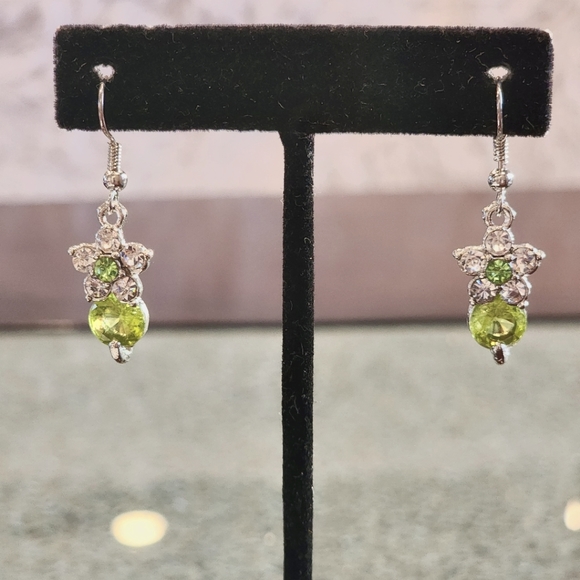 Fashion Jewelry Jewelry - Fashion Jewelry Women's Earrings/ NWT